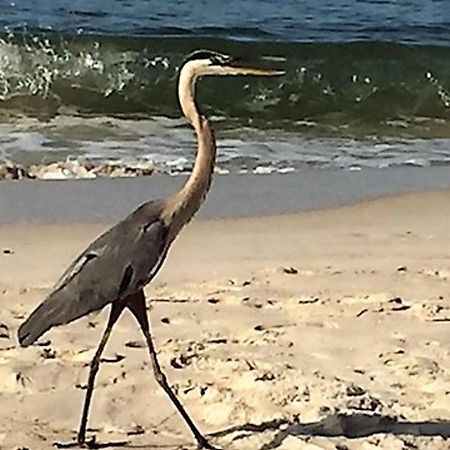 Phoenix Gulf Shores 1203 By Bender Vacation Rentals Luaran gambar